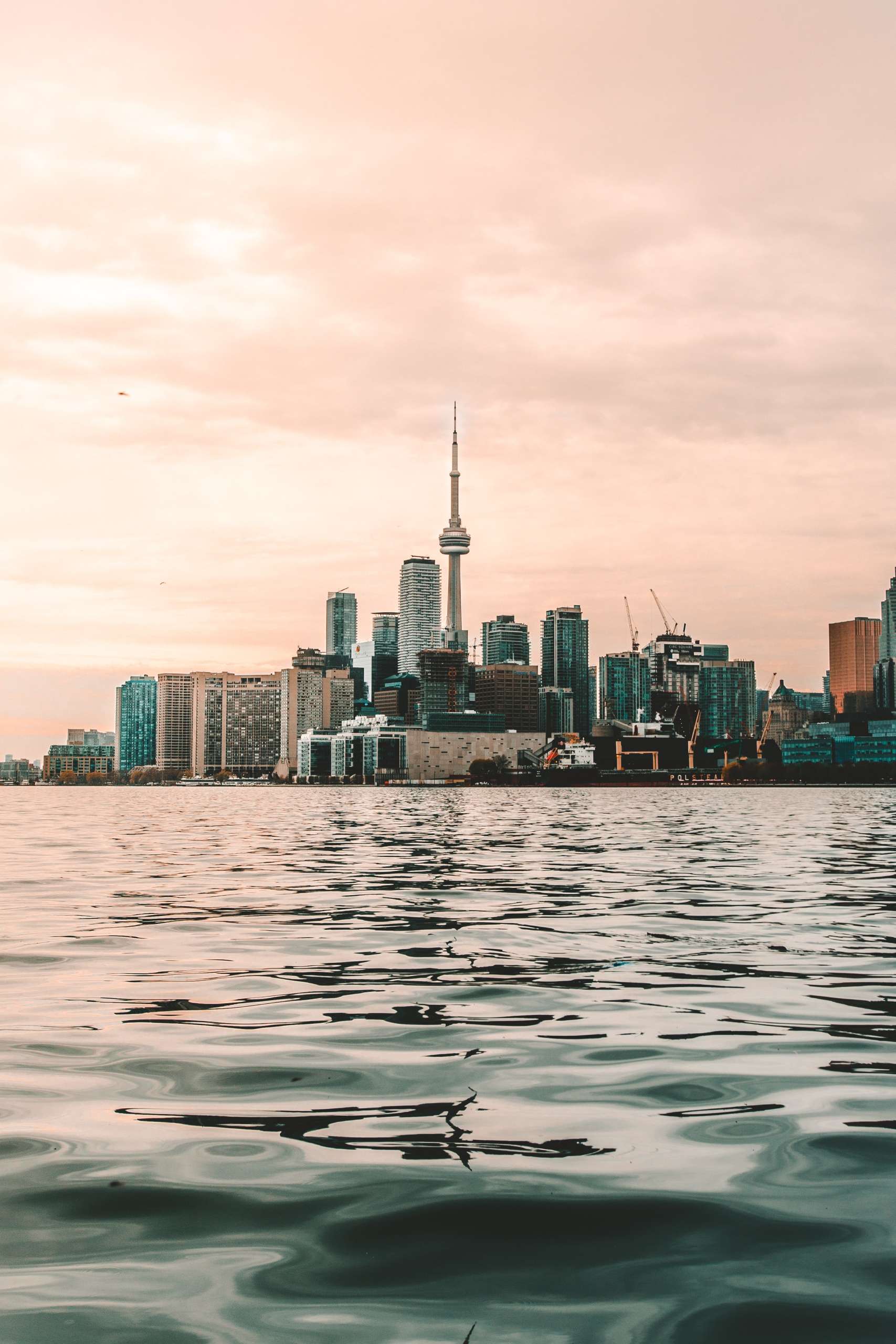 Toronto Commercial Door Suppliers in Toronto & GTA – Ontario Commercial Doors Toronto Commercial Door Suppliers in Toronto & GTA - Ontario Commercial Doors